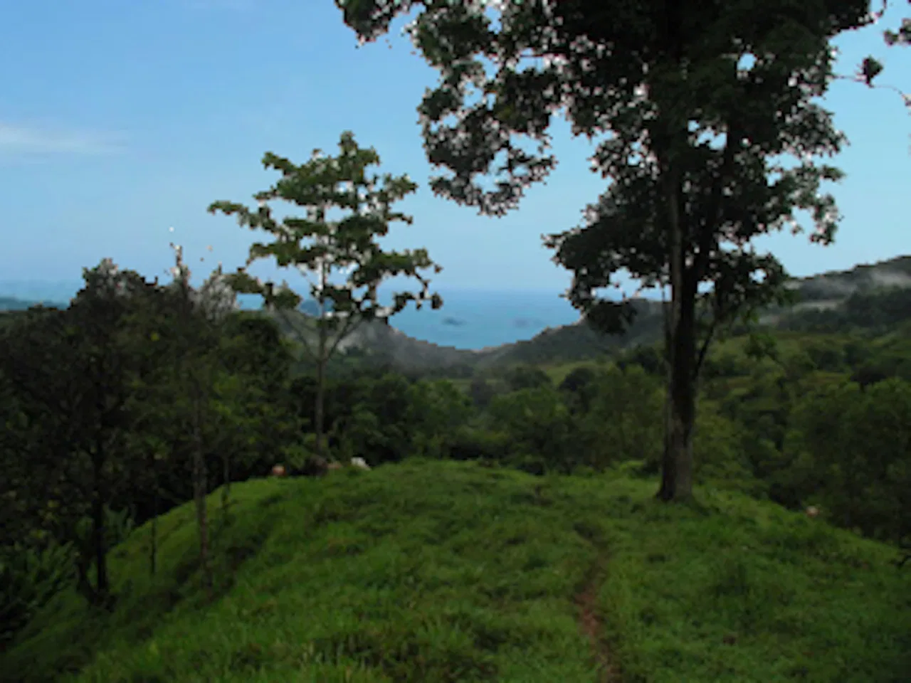 PRIVATE MOUNTAIN SANCTUARY WITH WATERFALLS, RIVER ACCESS AND FOREST – 40 ACRES, photo 13