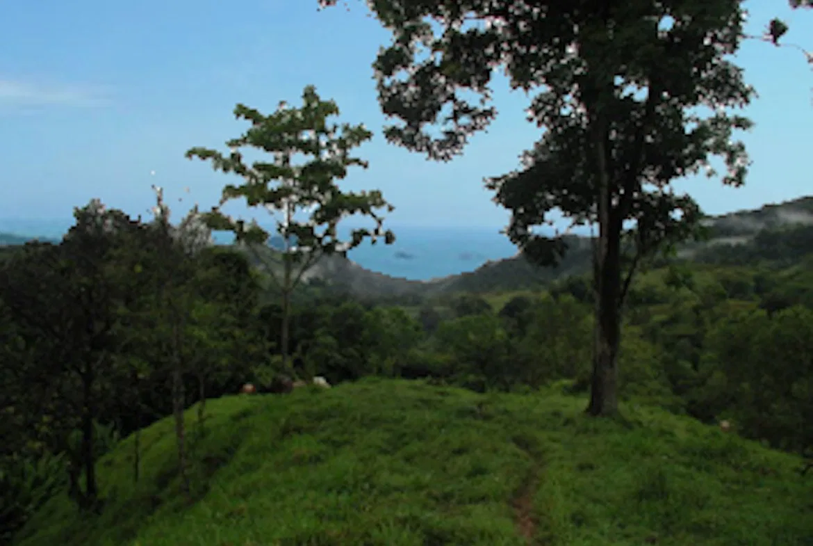 PRIVATE MOUNTAIN SANCTUARY WITH WATERFALLS, RIVER ACCESS AND FOREST – 40 ACRES, photo 14