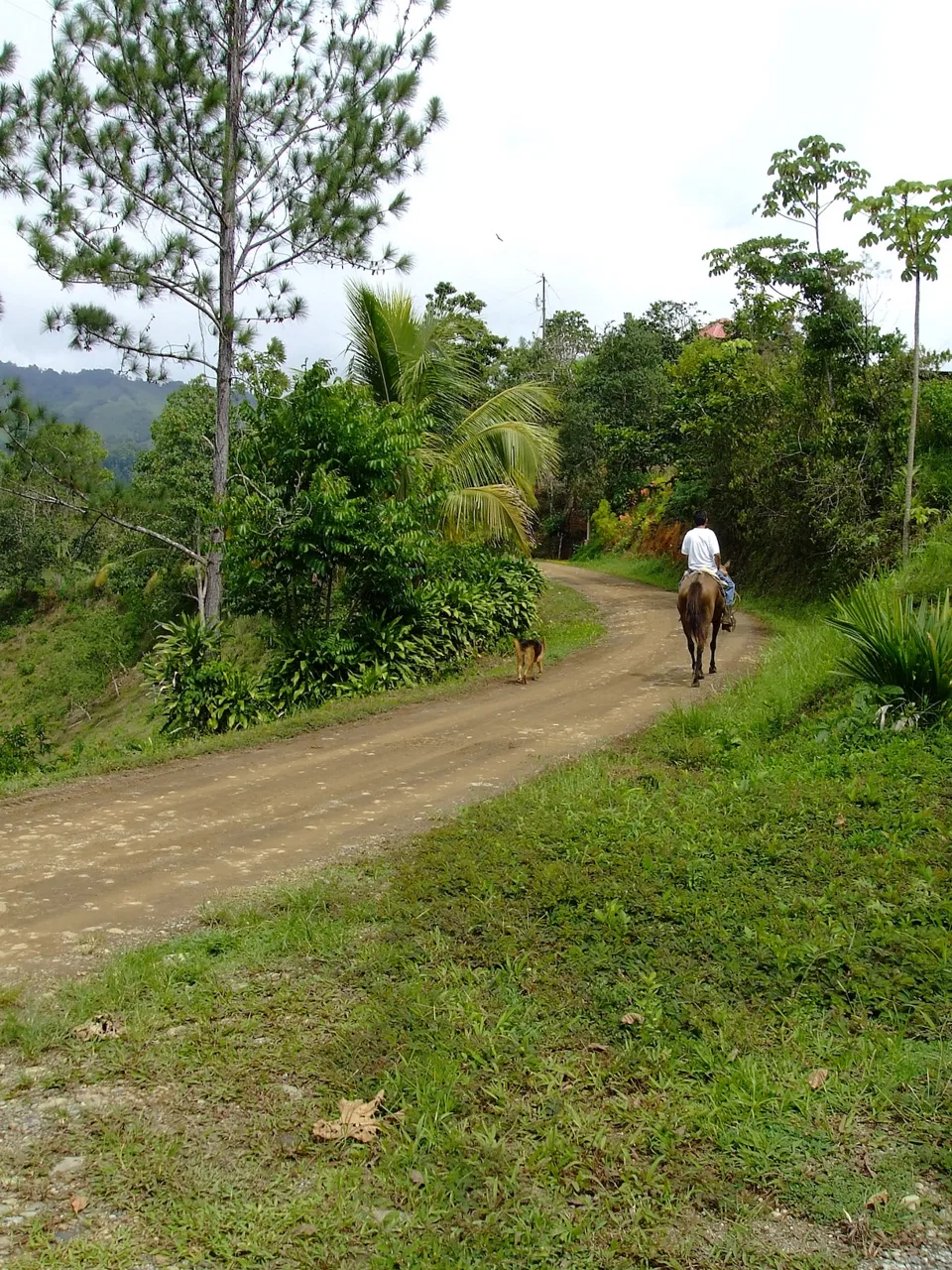 PRIVATE MOUNTAIN SANCTUARY WITH WATERFALLS, RIVER ACCESS AND FOREST – 40 ACRES, photo 3