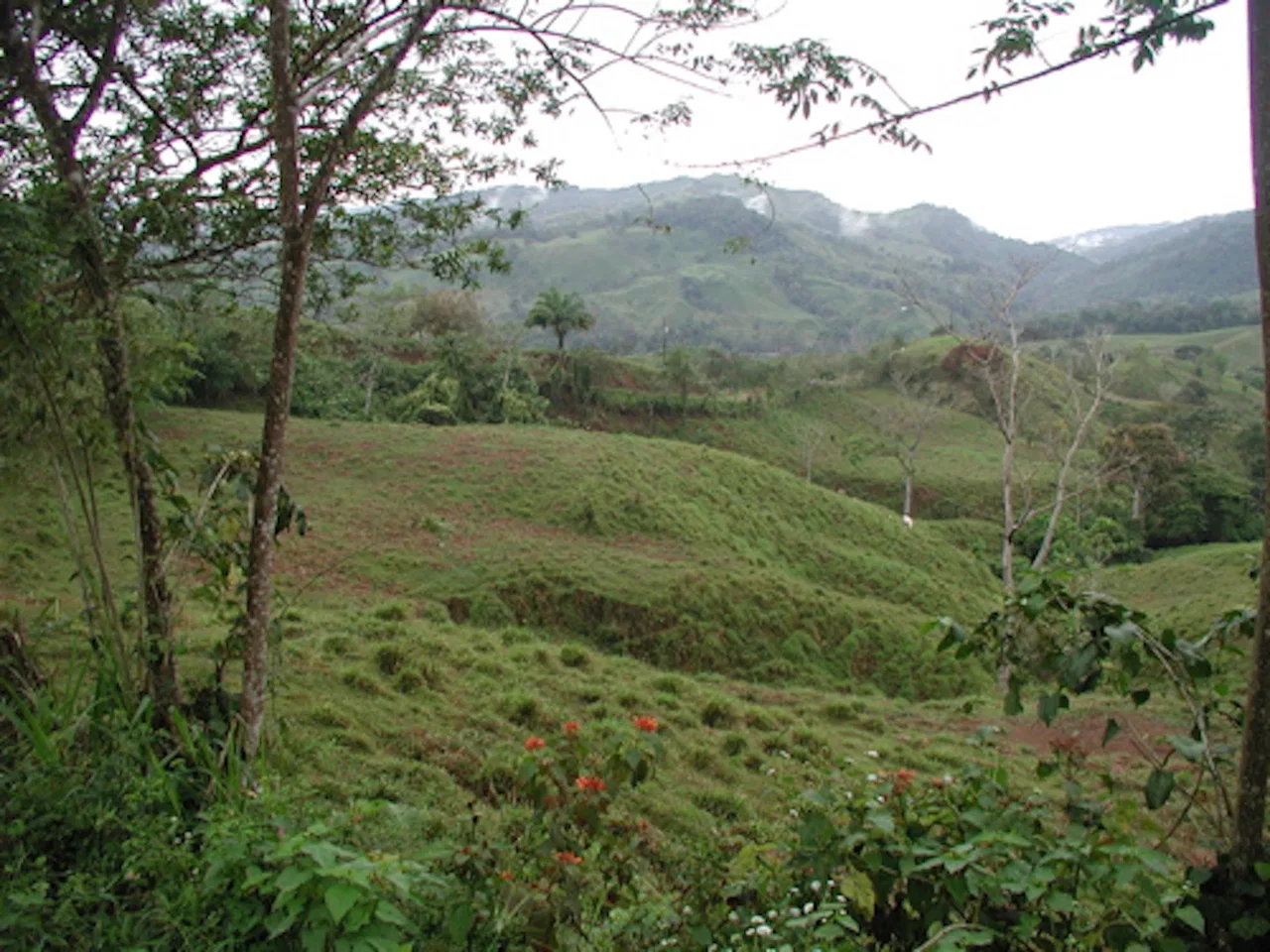 PRIVATE MOUNTAIN SANCTUARY WITH WATERFALLS, RIVER ACCESS AND FOREST – 40 ACRES, photo 7