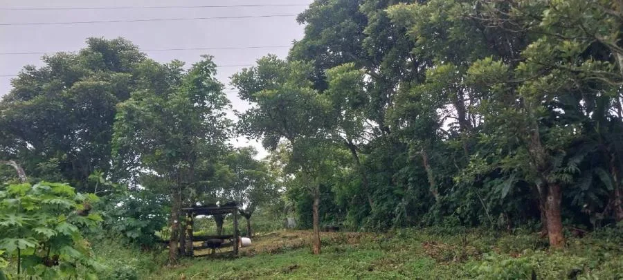Venta de Lote en Brasil, Santa Ana. RAH 24-1883 - Venta en Brasil, photo 13