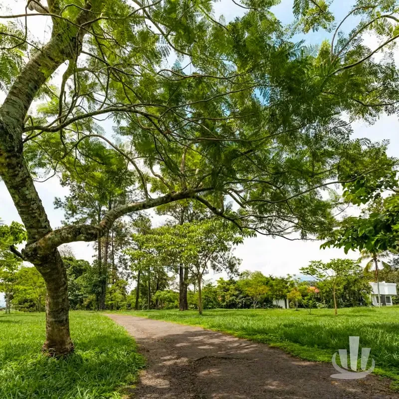 Casa en preventa en Ciudad Hacienda Los Reyes – La Guácima, Alajuela, photo 6