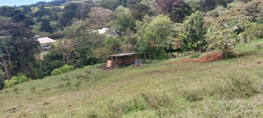 Terreno con increible vista panoramica a las montañas, San Isidro Heredia 3,503 mtrs2 - Venta en San Isidro, photo 6