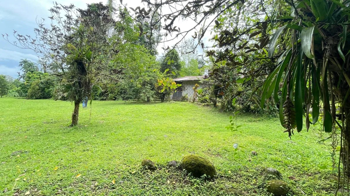 Venta de lote agrícola de 3.149 m² rodeado de naturaleza #26-779 GS - Venta en Pococí