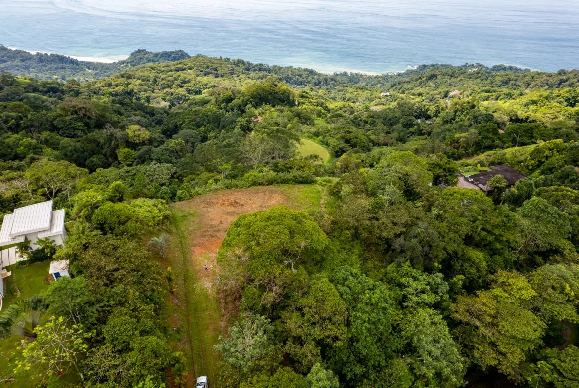 ICONIC WHALE TAIL VIEW LOT IN COSTA VERDE ESTATES – 1.71 ACRES, photo 12