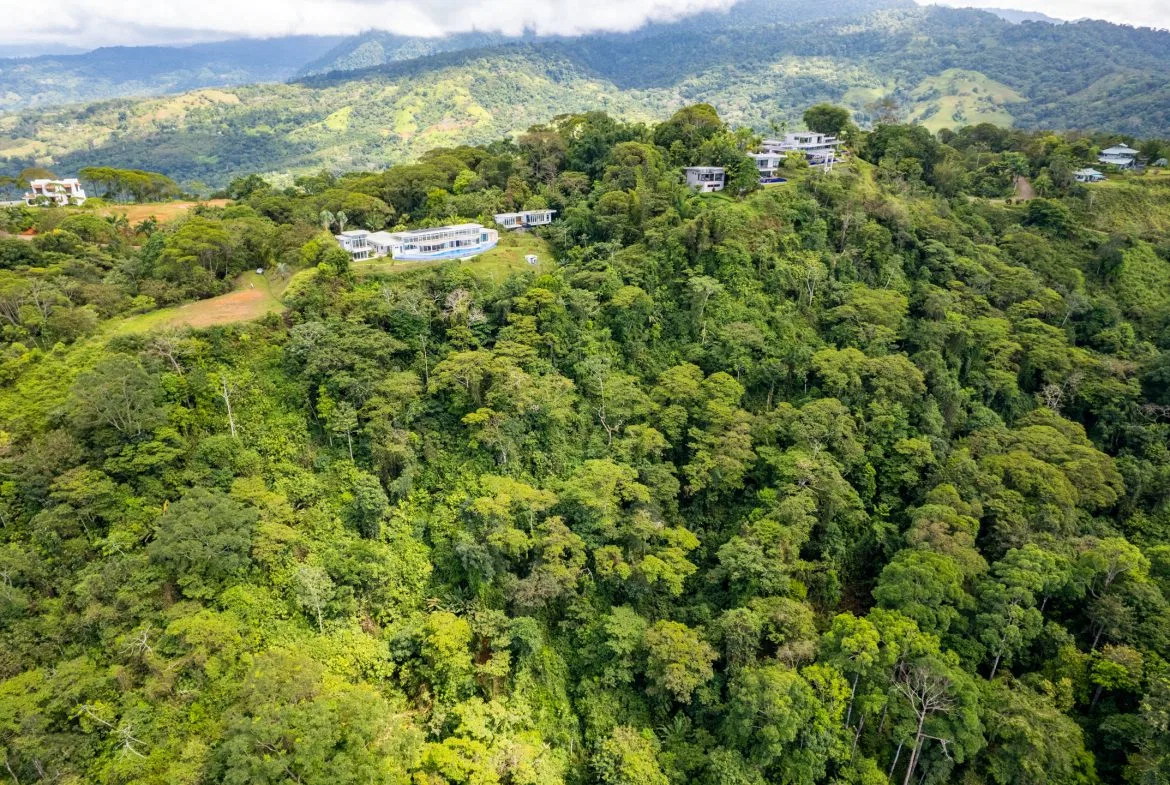 ICONIC WHALE TAIL VIEW LOT IN COSTA VERDE ESTATES – 1.71 ACRES, photo 24