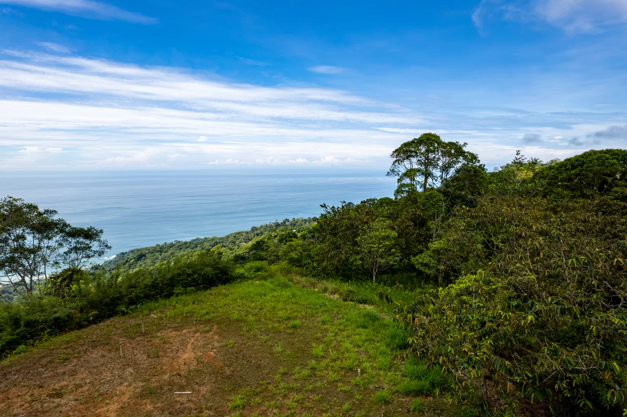 ICONIC WHALE TAIL VIEW LOT IN COSTA VERDE ESTATES – 1.71 ACRES, photo 7