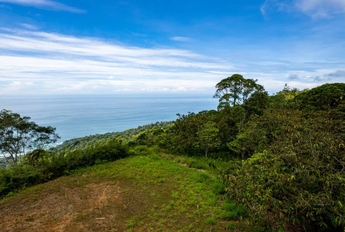 ICONIC WHALE TAIL VIEW LOT IN COSTA VERDE ESTATES – 1.71 ACRES, photo 8