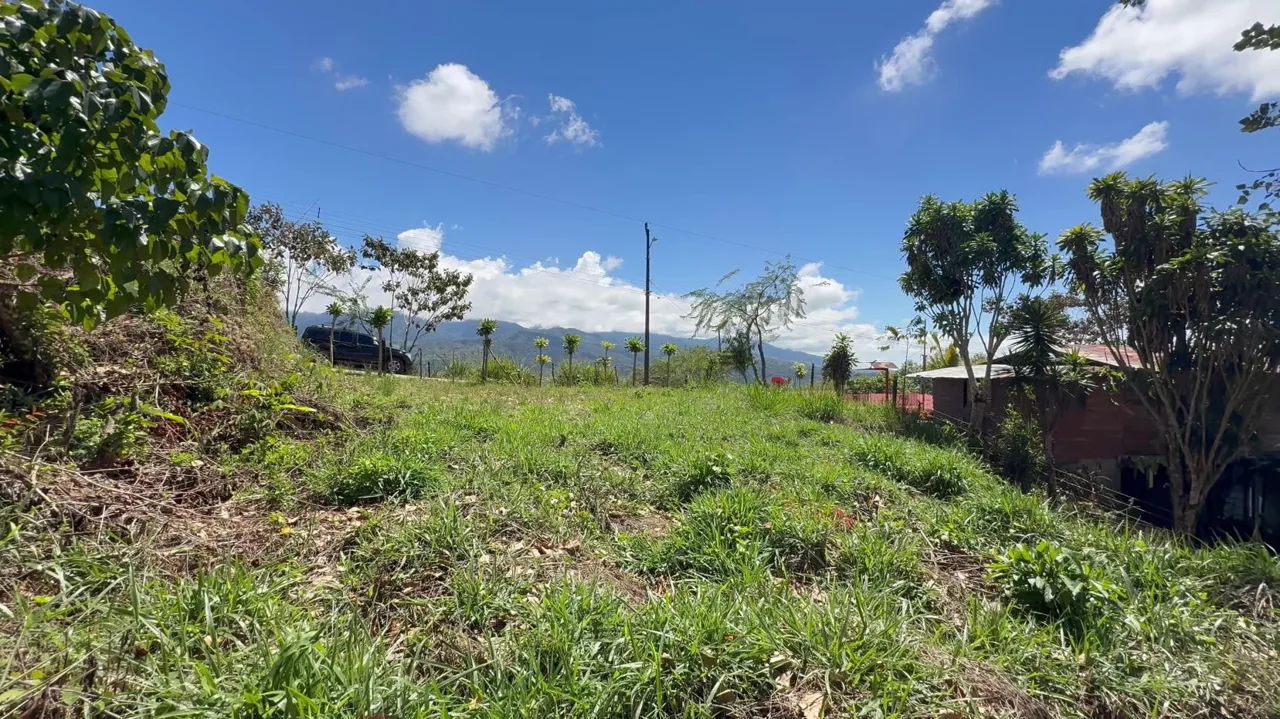 Charming Lot for Sale in Miravalles Perez Zeledon, photo 6