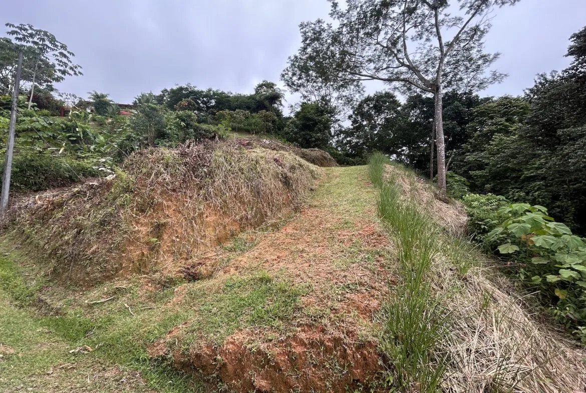 BUILDING PROPERTY IN A GATED COMMUNITY WITH MOUNTAIN VIEWS, IN OJOCHAL – 1.05 ACRES, photo 16