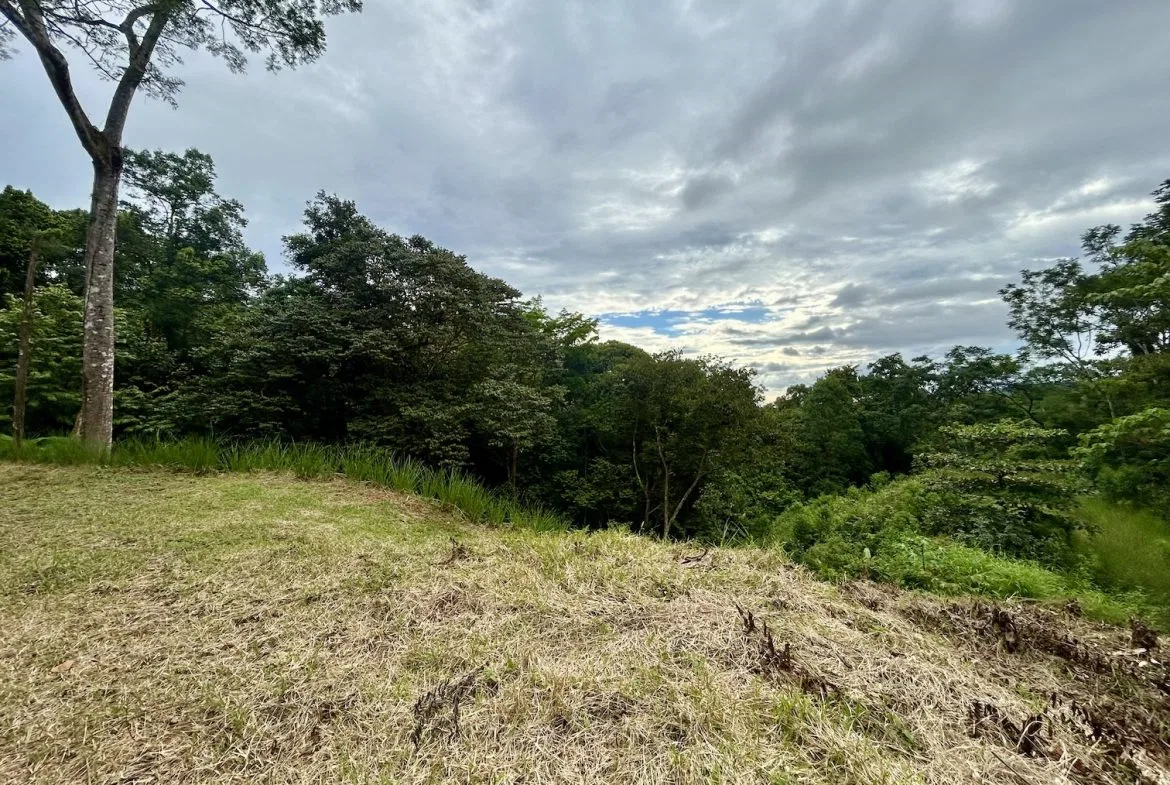 BUILDING PROPERTY IN A GATED COMMUNITY WITH MOUNTAIN VIEWS, IN OJOCHAL – 1.05 ACRES, photo 18