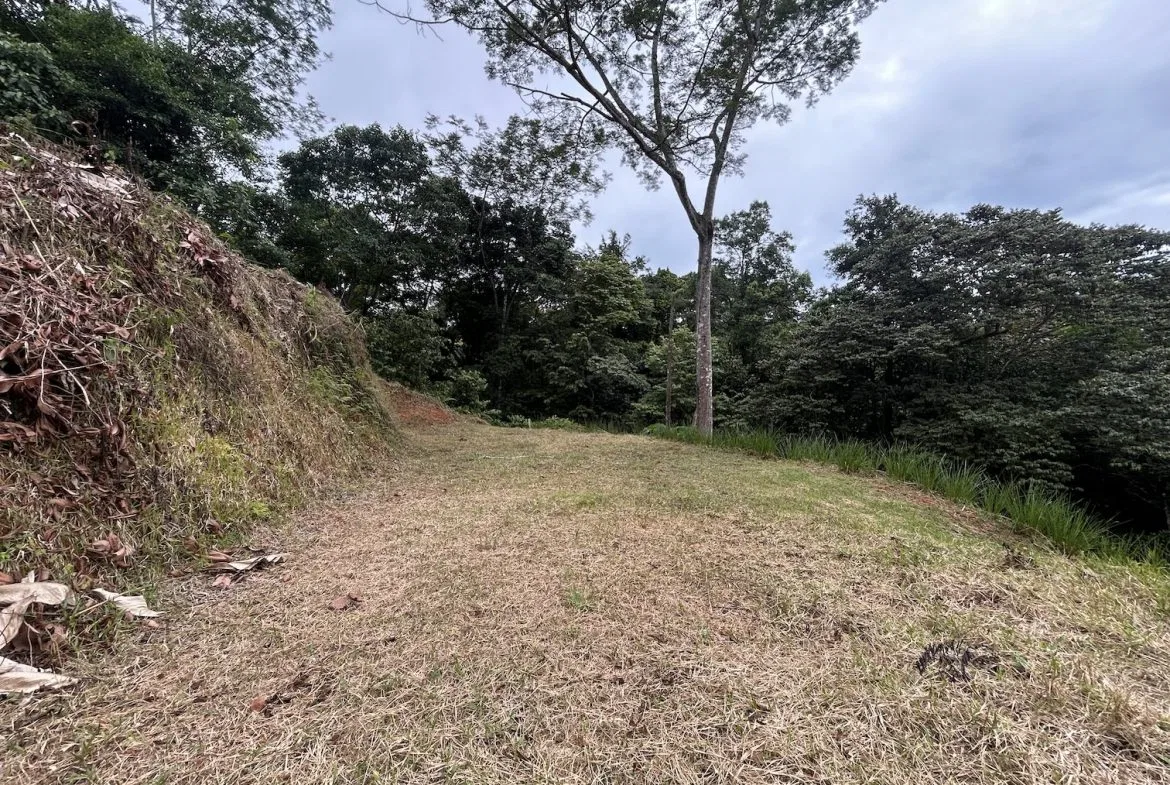 BUILDING PROPERTY IN A GATED COMMUNITY WITH MOUNTAIN VIEWS, IN OJOCHAL – 1.05 ACRES, photo 20