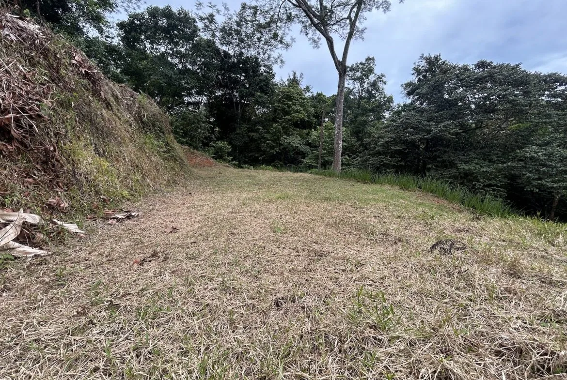BUILDING PROPERTY IN A GATED COMMUNITY WITH MOUNTAIN VIEWS, IN OJOCHAL – 1.05 ACRES, photo 22