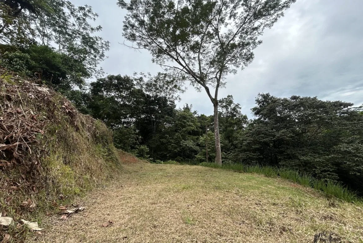 BUILDING PROPERTY IN A GATED COMMUNITY WITH MOUNTAIN VIEWS, IN OJOCHAL – 1.05 ACRES, photo 24
