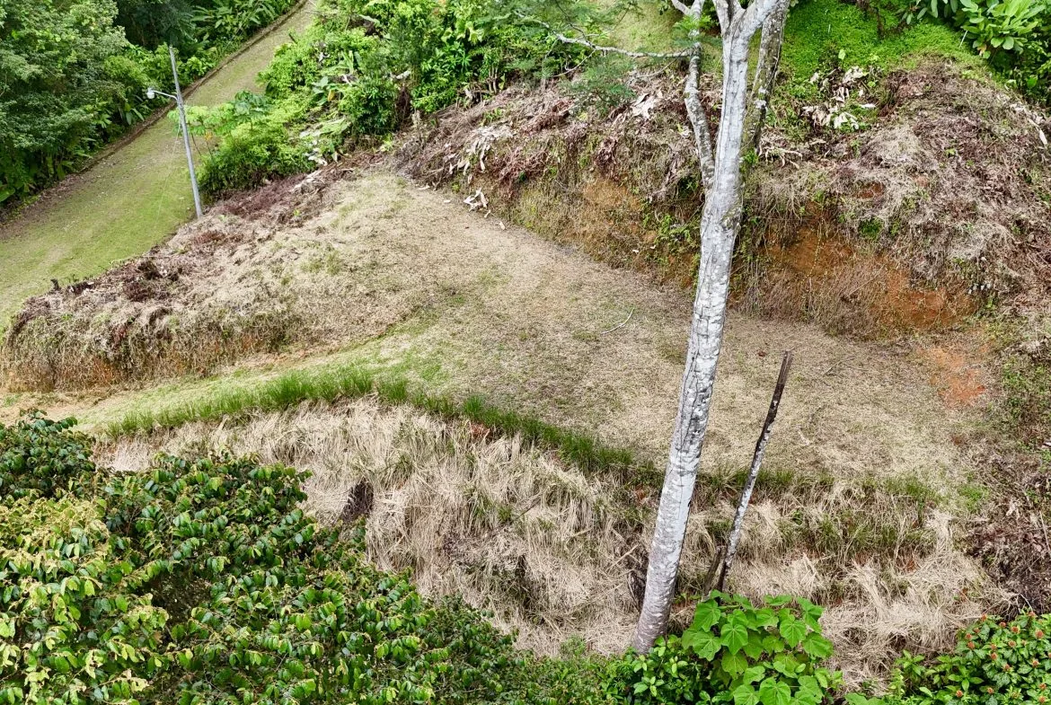 BUILDING PROPERTY IN A GATED COMMUNITY WITH MOUNTAIN VIEWS, IN OJOCHAL – 1.05 ACRES, photo 8
