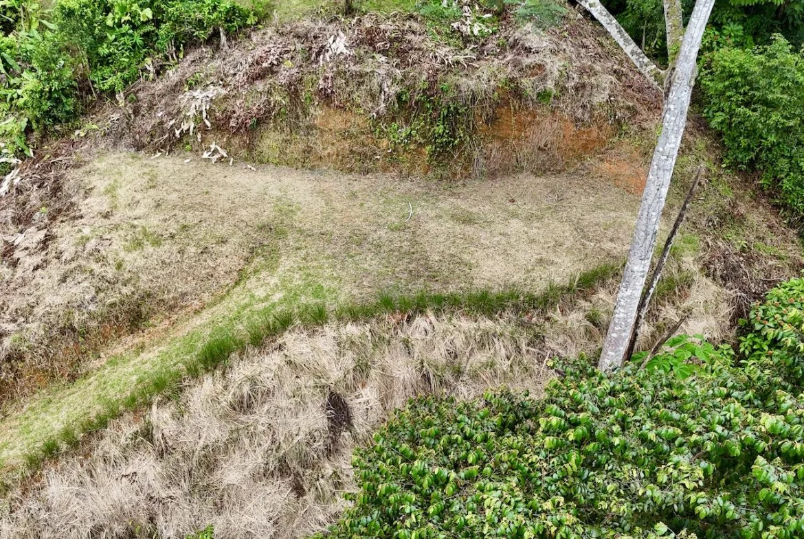 BUILDING PROPERTY IN A GATED COMMUNITY WITH MOUNTAIN VIEWS, IN OJOCHAL – 1.05 ACRES, photo 10