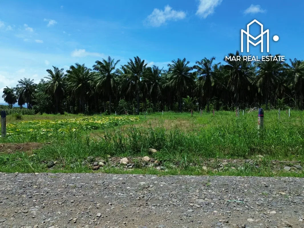 Lote En Venta En Parrita | Cerca De Las Mejores Playas Del Pacífico Central