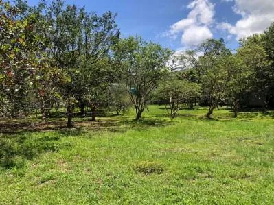 TERRENO INDUSTRIAL, SAN JOSE, CIUDAD COLON 32.637m2
