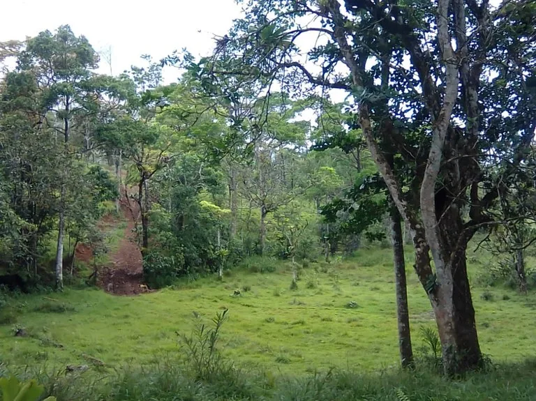 Cattle farm for sale in Aguas Claras with 1 corral and enchanting views, photo 2
