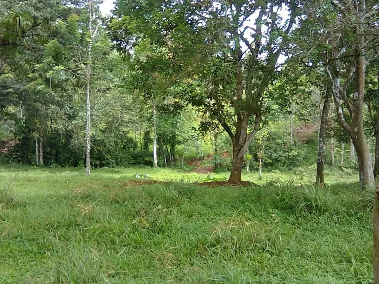 Cattle farm for sale in Aguas Claras with 1 corral and enchanting views, photo 11