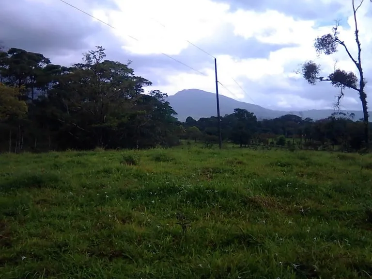 Cattle farm for sale in Aguas Claras with 1 corral and enchanting views, photo 13
