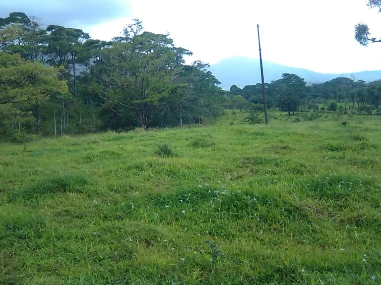 Cattle farm for sale in Aguas Claras with 1 corral and enchanting views, photo 14