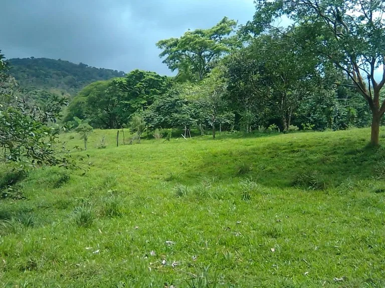 Cattle farm for sale in Aguas Claras with 1 corral and enchanting views, photo 7