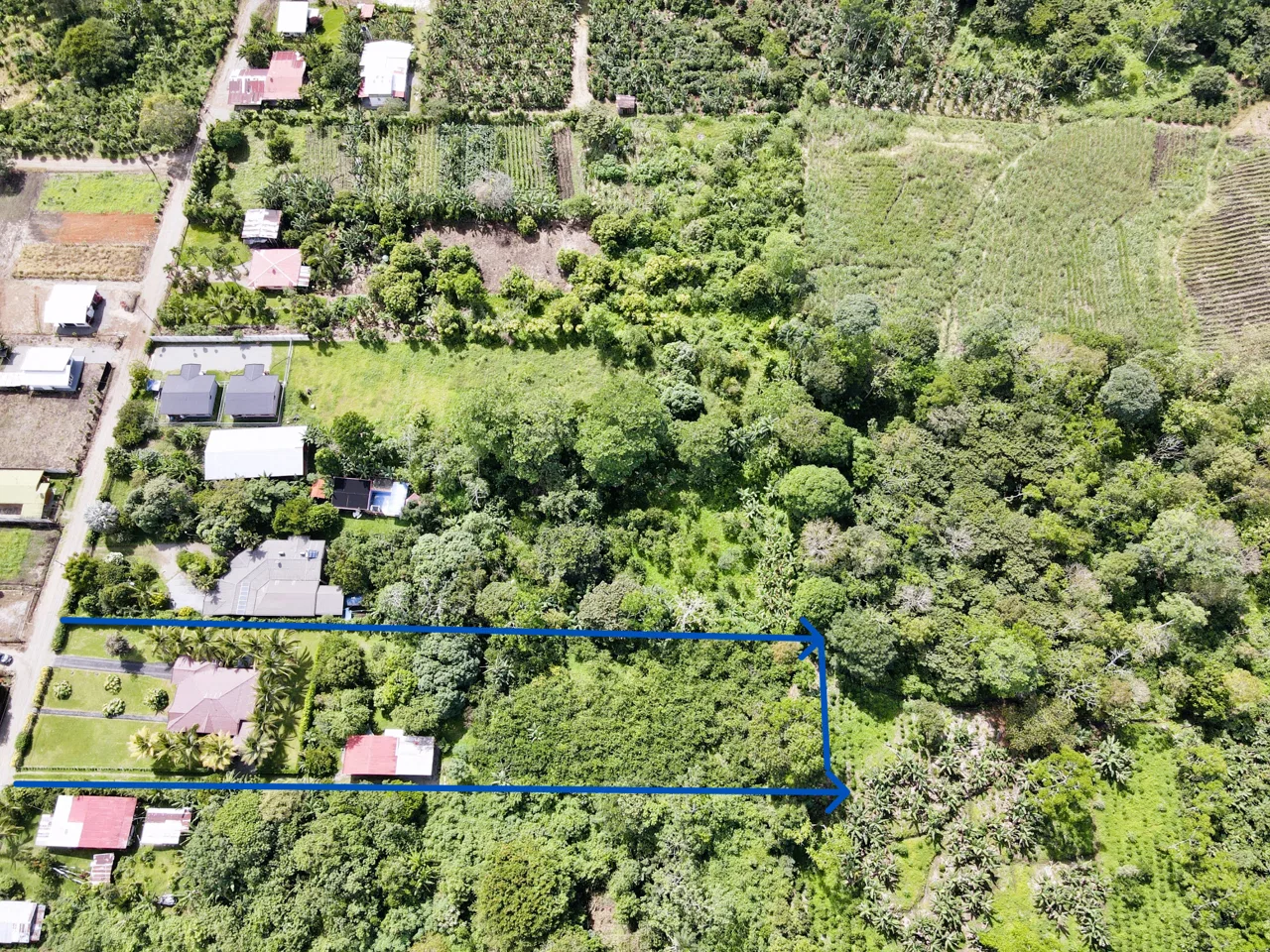 Spacious Property with Two Houses and Lots of Fruit Trees in Perez Zeledon