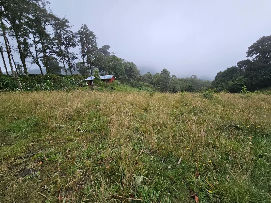 Beautiful Lot for Sale in Cañón del Guarco | 1,200 m² | Cool Climate & Prime Location, photo 11