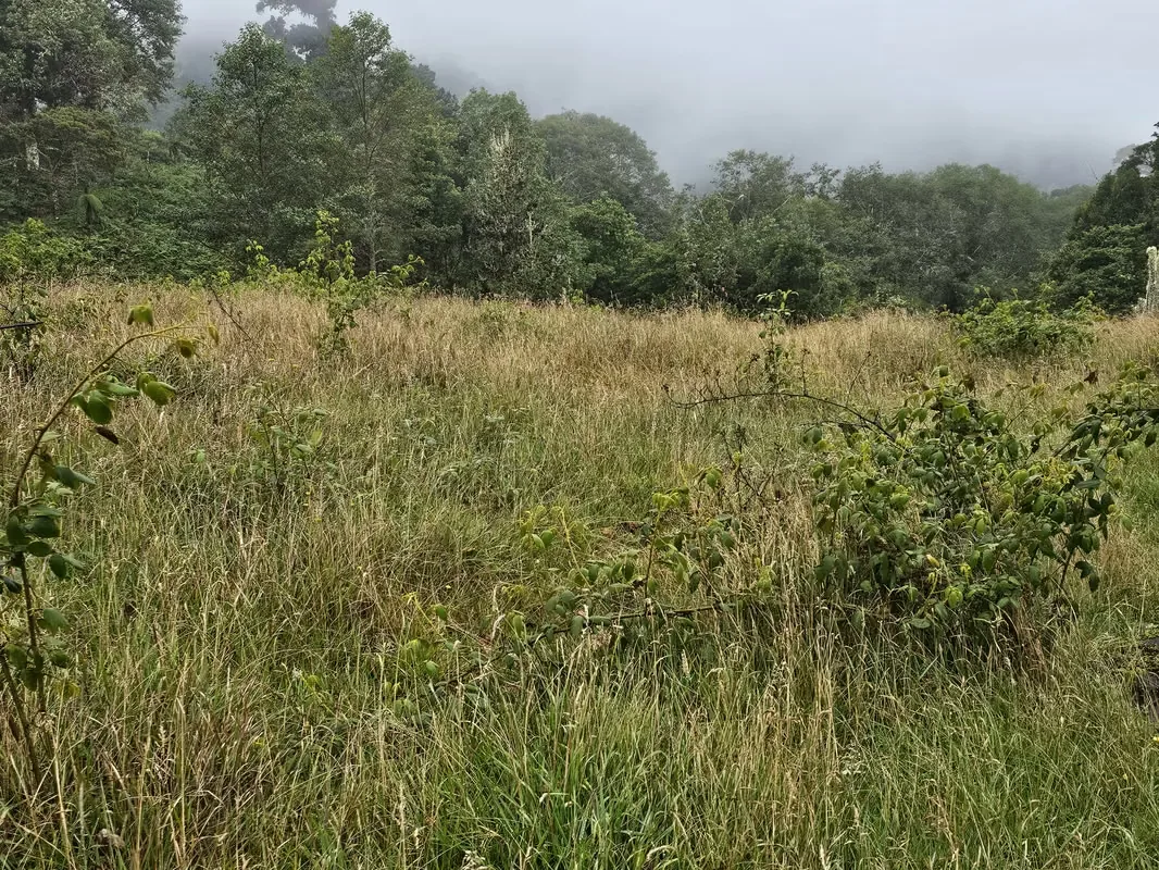 Beautiful Lot for Sale in Cañón del Guarco | 1,200 m² | Cool Climate & Prime Location, photo 16