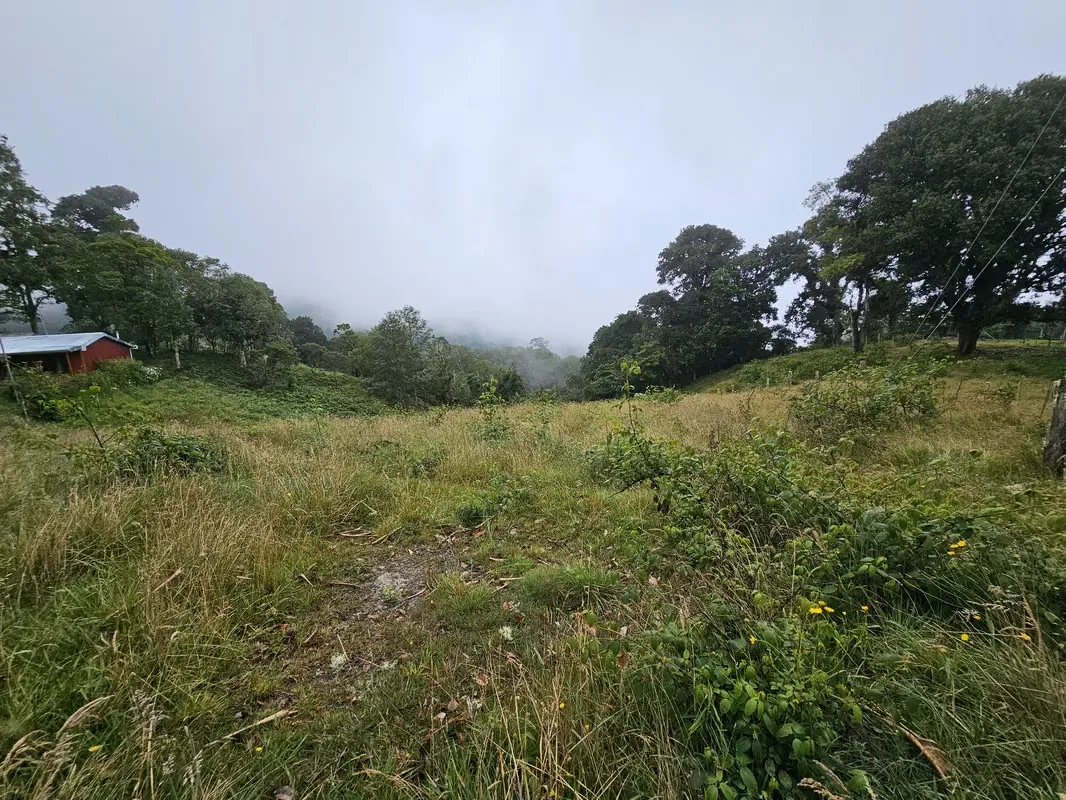 Beautiful Lot for Sale in Cañón del Guarco | 1,200 m² | Cool Climate & Prime Location, photo 5