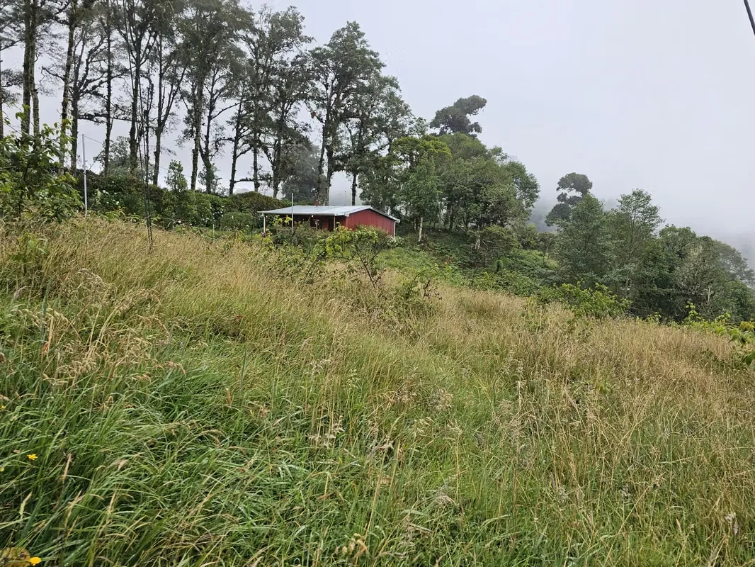 Beautiful Lot for Sale in Cañón del Guarco | 1,200 m² | Cool Climate & Prime Location, photo 6