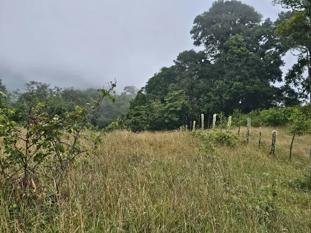 Beautiful Lot for Sale in Cañón del Guarco | 1,200 m² | Cool Climate & Prime Location, photo 7