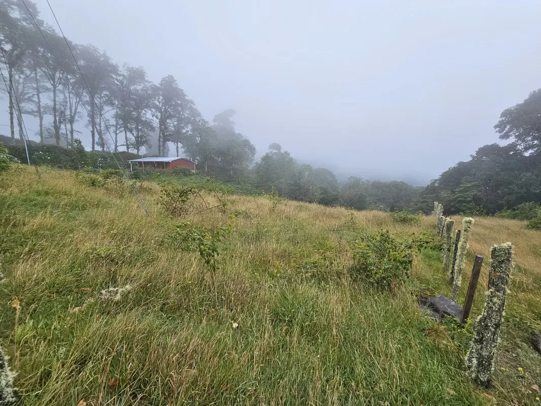 Beautiful Lot for Sale in Cañón del Guarco | 1,200 m² | Cool Climate & Prime Location, photo 8