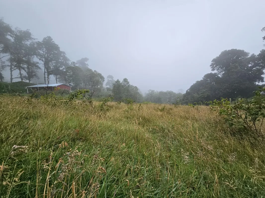 Beautiful Lot for Sale in Cañón del Guarco | 1,200 m² | Cool Climate & Prime Location, photo 9