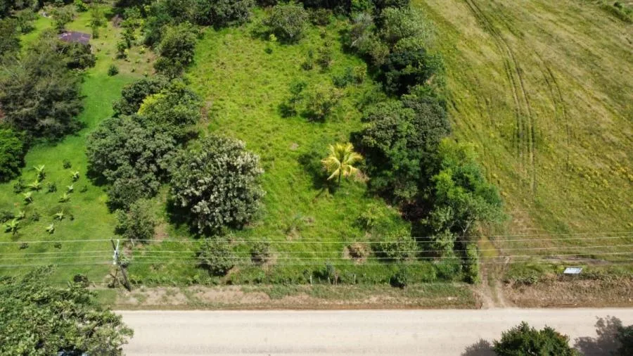 EN VENTA OPORTUNIDAD: 3,497 M² PLANOS Y FÉRTILES - Venta en Perez Zeledón, photo 13