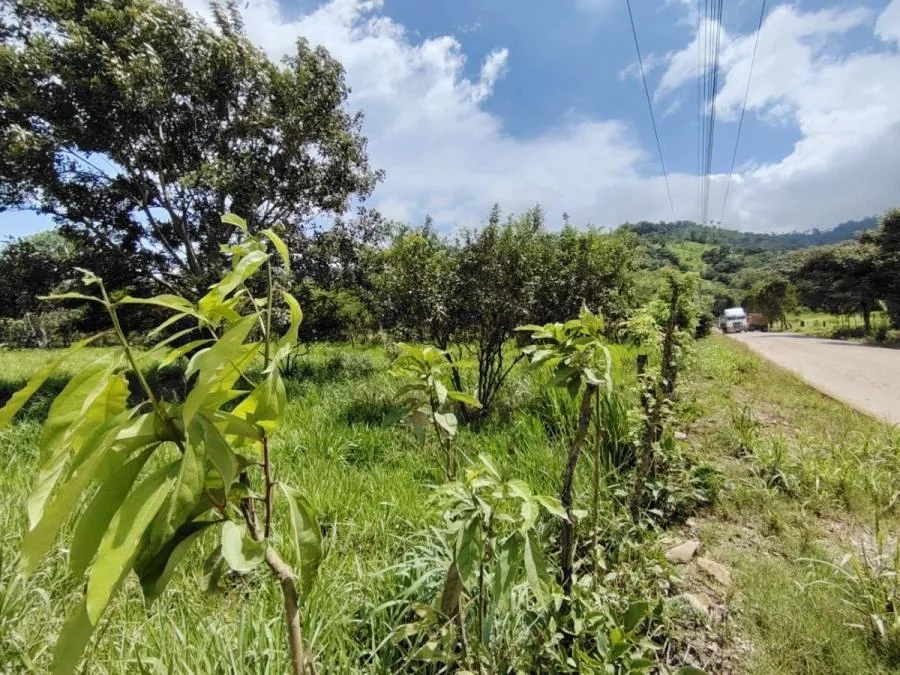 EN VENTA OPORTUNIDAD: 3,497 M² PLANOS Y FÉRTILES - Venta en Perez Zeledón, photo 14