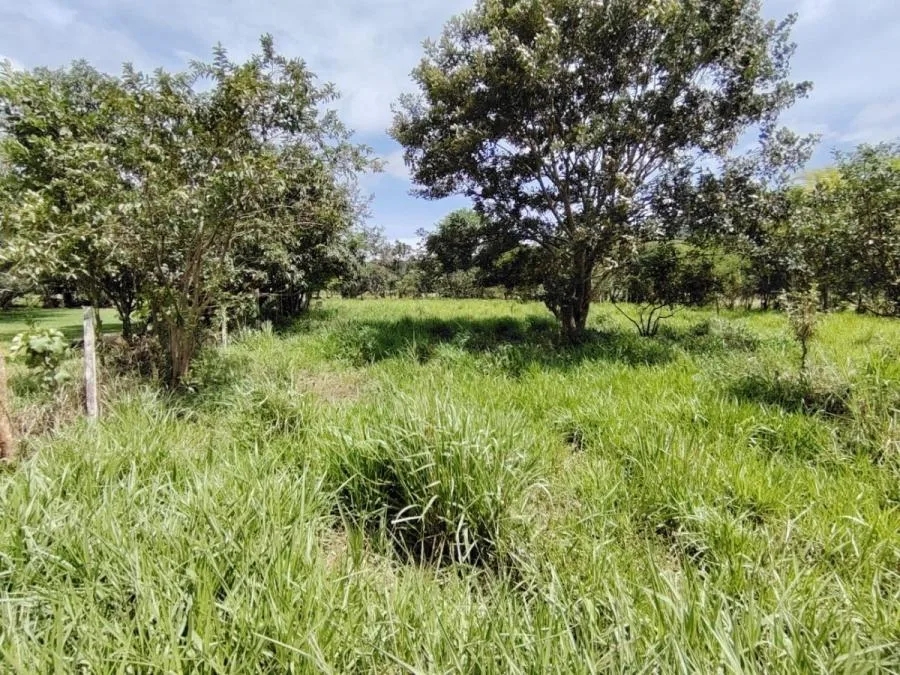 EN VENTA OPORTUNIDAD: 3,497 M² PLANOS Y FÉRTILES - Venta en Perez Zeledón, photo 15