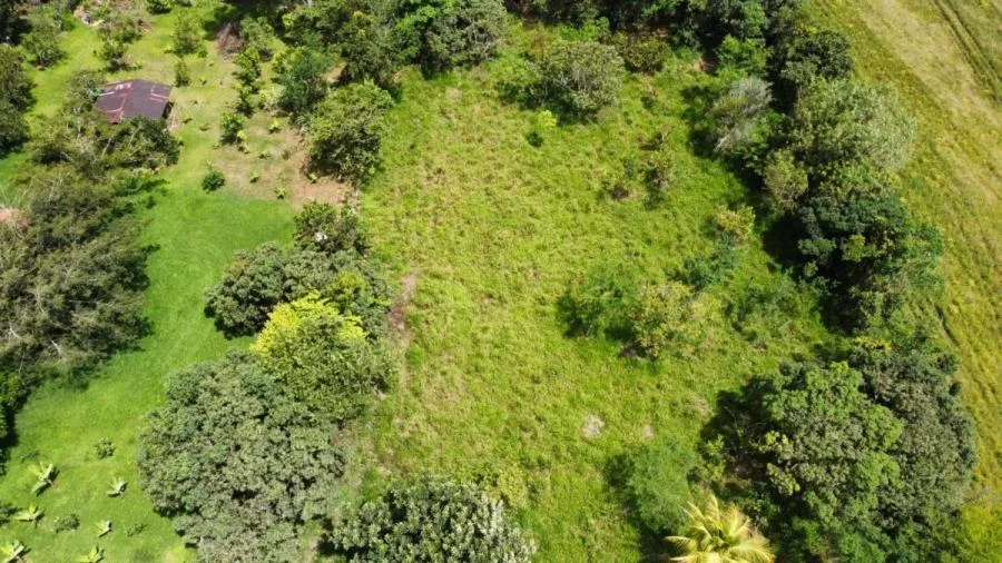 EN VENTA OPORTUNIDAD: 3,497 M² PLANOS Y FÉRTILES - Venta en Perez Zeledón, photo 6