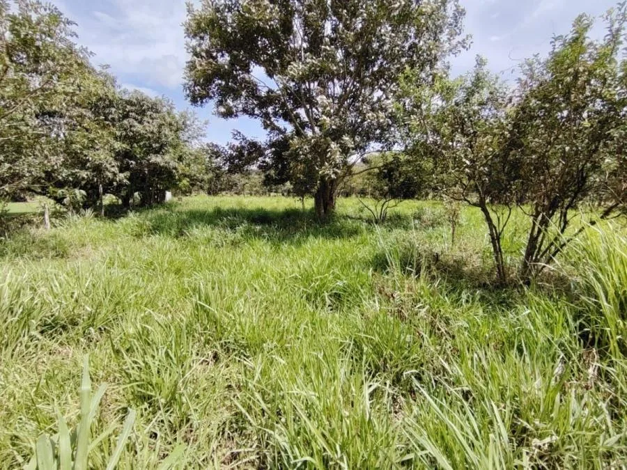 EN VENTA OPORTUNIDAD: 3,497 M² PLANOS Y FÉRTILES - Venta en Perez Zeledón, photo 10