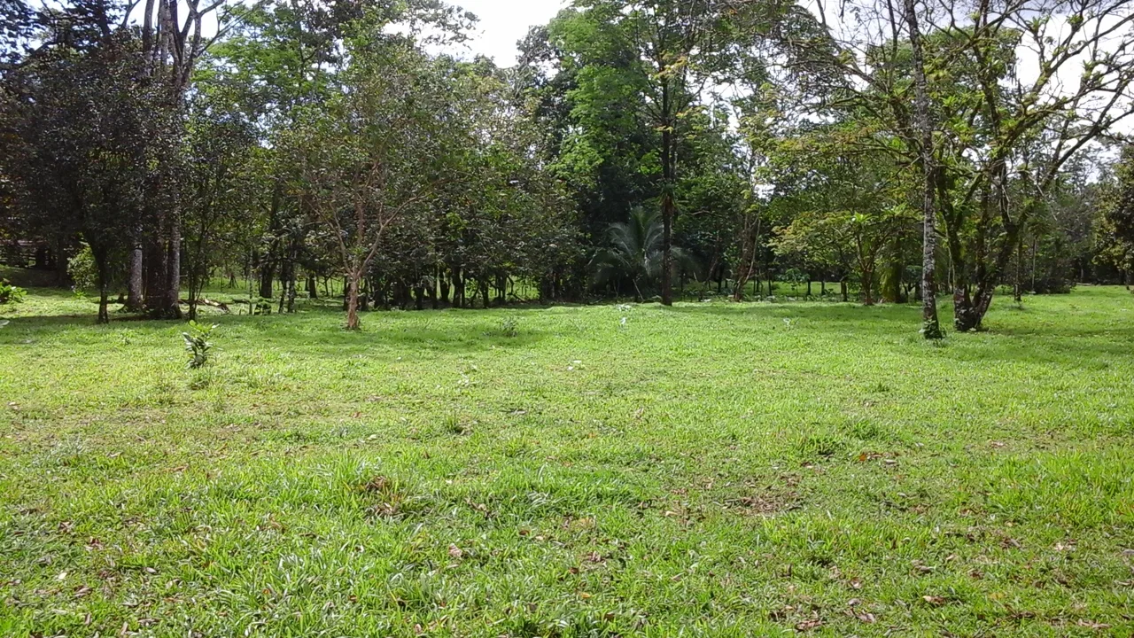 Terreno para múltiples usos, construir, quinta o inversión. Zona muy cotizada