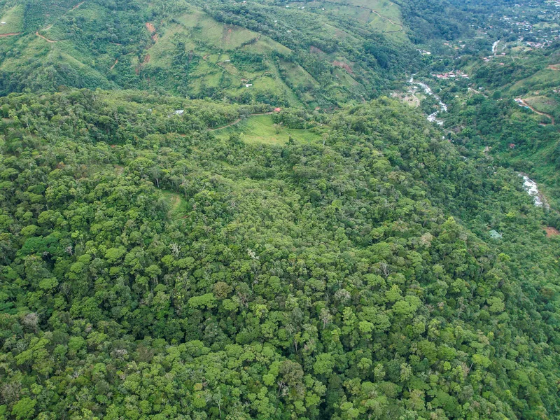 Land For Sale in Perez Zeledon, photo 11