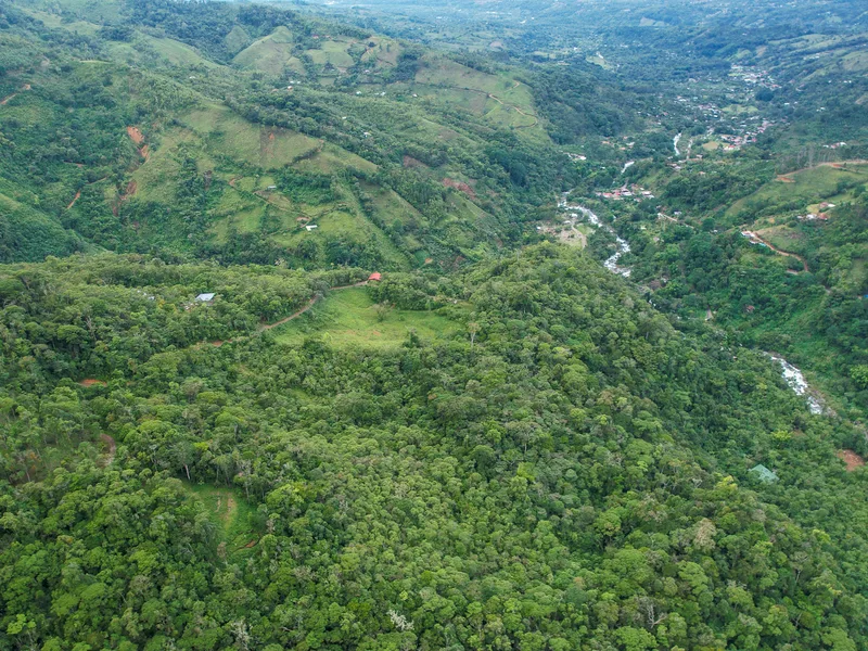 Land For Sale in Perez Zeledon, photo 12
