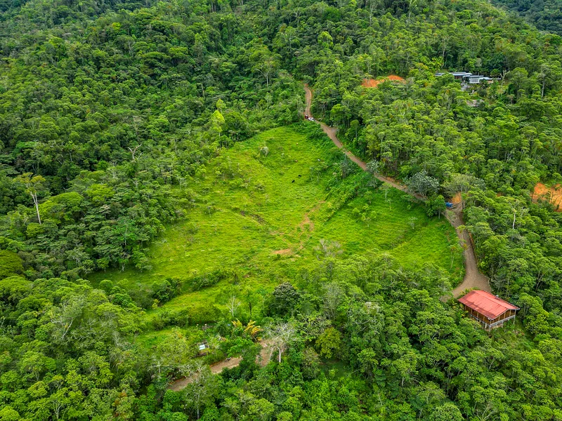 Land For Sale in Perez Zeledon, photo 6