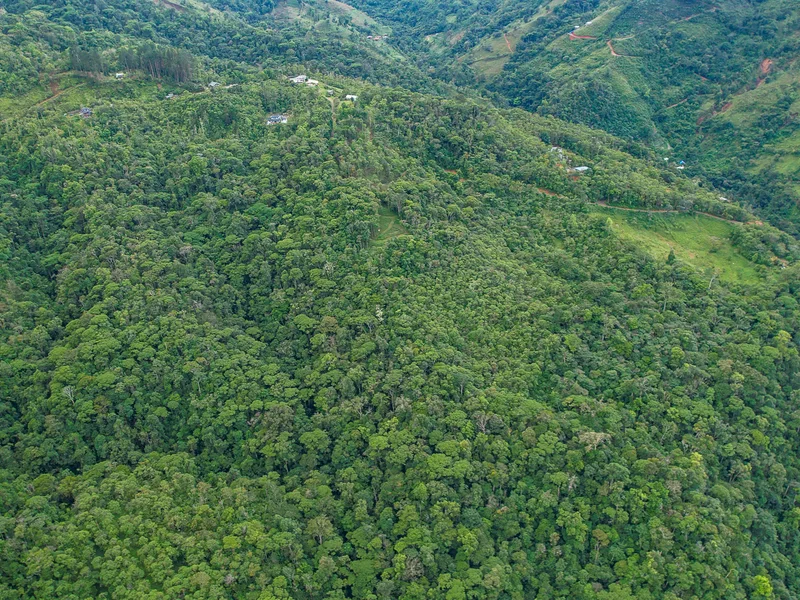 Land For Sale in Perez Zeledon, photo 10