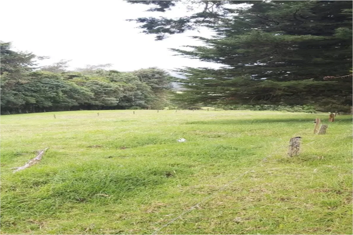 VENTA DE LOTE EN POASITO DE ALAJUELA