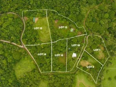 Listo para Construir Avellanas - 7 Lotes en Venta - Propiedades Tamarindo Costa Rica