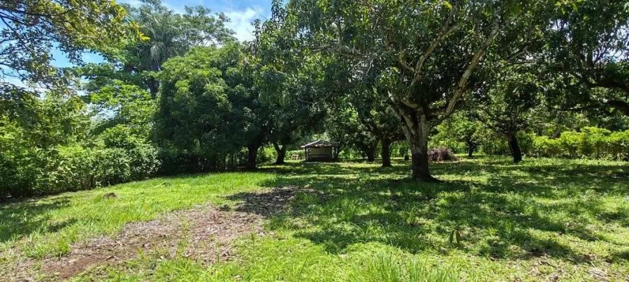 MLS-25-1948 LS VENTA LOTE OROTINA ALAJUELA - Venta en Orotina