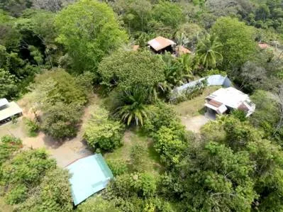 Finca de renta de múltiples viviendas cerca del Parque Nacional Marino Ballena, photo 2