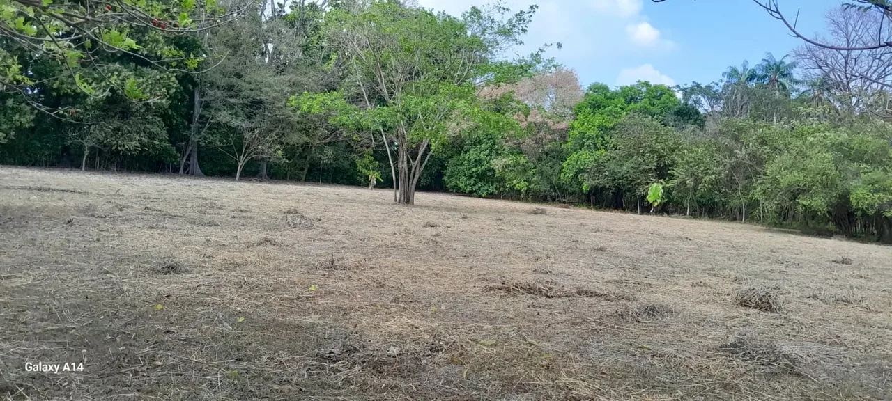 Discover this exceptional 10,000 m² (2.47-acre) property located in a prime area of Guanacaste, along the road ...